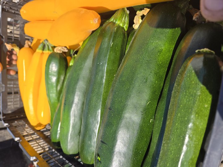Peppers and zucchini at the stand
