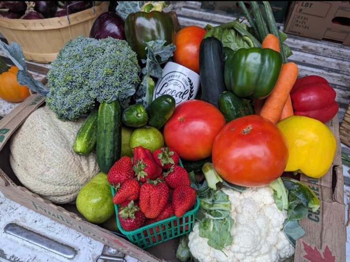 A basket of fresh mixed produce