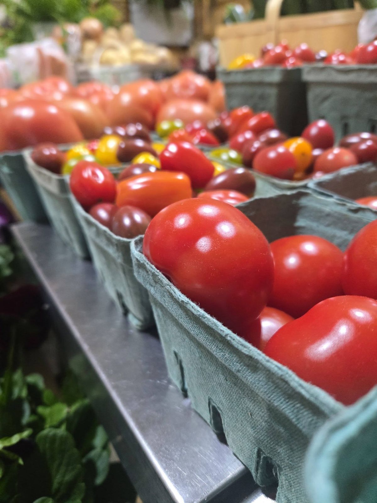 Vine-ripened tomatoes